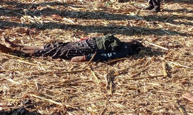 CG – हैवानित की हदें पार : पति ने पत्नी के साथ की रूह कंपा देने वाली बर्बरता, प्राइवेट पार्ट में डाला मूली और डंडा, फिर जो हुआ…..