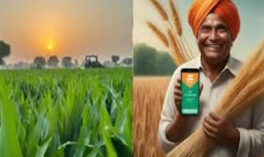 कब आएगी पीएम किसान सम्मान निधि योजना की 19वीं किस्त? जानिए सबकुछ