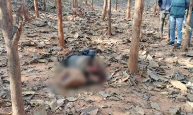 CG – लहूलुहान हालत में मिली युवक की लाश : पत्थर से कुचलकर उतारा मौत के घाट, जांच में जुटी डॉग स्क्वायड और फोरेंसिक की टीम…..