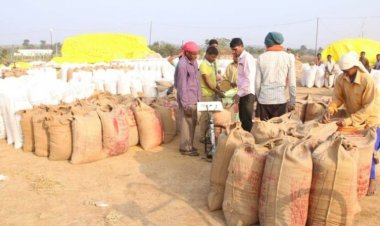 CG : छत्तीसगढ़ में टूटा धान खरीदी का रिकार्ड, आंकड़ा 145 लाख मीट्रिक टन से पार, अब तक 29 हजार 599 करोड़ रूपए का भुगतान