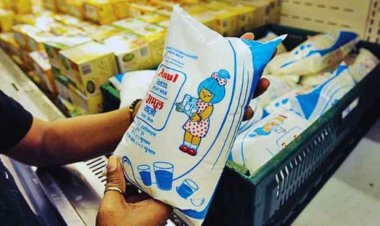 AMUL PRICE DROP : अमूल ने घटाए दूध के दाम, 1 लीटर दूध अब सस्ता, जानें नए रेट्स