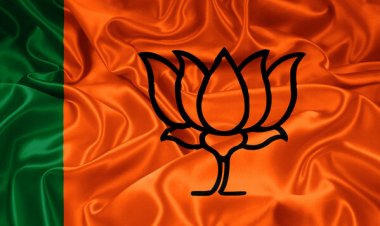 BREAKING : नगरीय निकाय चुनाव 2025: BJP ने महासमुंद, धमतरी और सारंगढ़-बिलाईगढ़ में उम्मीदवारों का किया एलान, देखें किन्हें मिला लिस्ट