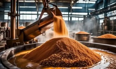 छत्तीसगढ़: गुड़ फैक्ट्रियों में फिर ड्रग्स विभाग की छापेमारी, पत्थर पाउडर मिलाने की आशंका