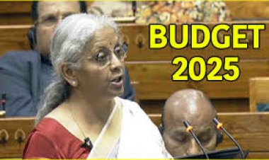 Budget 2025: निर्मला सीतारमण ने पेश किया बजट, किसानों और आम आदमी के लिए बड़ी घोषणाएं