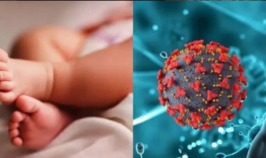 ब्रेकिंग: छत्तीसगढ़ में HMPV वायरस ने दी दस्तक, सवा 3 साल के बच्चे की रिपोर्ट आई पॉजिटिव