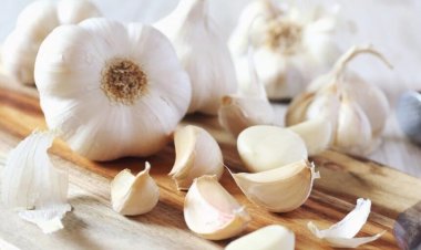 Lahsun ke fayde : मर्दों के लिए अमृत से कम नहीं कच्चा लहसुन, लगातार 7 दिनों तक खाएं, मिलेंगे कई चमत्कारी लाभ