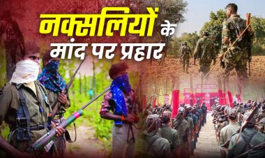 CG - बीजापुर में बड़ा नक्सल ऑपरेशन, मुठभेड़ में 31 नक्सली ढेर, अमित शाह और सीएम ने दी जवानों को बधाई