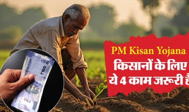 PM Kisan Yojana: पीएम मोदी इस दिन जारी करेंगे 19वीं किस्त, अगर आपको भी चाहिए लाभ तो जरूर करवा लें ये काम