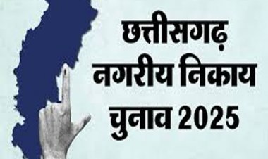 Nikay Chunav 2025 Results : प्रदेश के सभी निकायों में डाक मत पत्र की गिनती शुरू, रुझानों में रायपुर और जगदलपुर में भाजपा आगे
