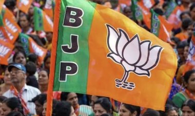 CG ब्रेकिंग : दिग्गज भाजपा नेत्री का निधन,पार्टी में शोक की लहर…