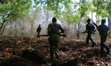 4 महिला नक्सली ढेर : MP में मारी गई छत्तीसगढ़ की 4 खूंखार महिला नक्सली, 3 राज्यों की पुलिस को थी तलाश…..