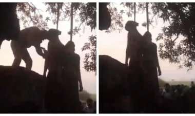 प्रेम कहानी का दर्दनाक अंत: पेड़ में फंदे पर लटके मिले प्रेमी प्रेमिका के शव, मंजर देख परिजनों के भी उड़ें होश