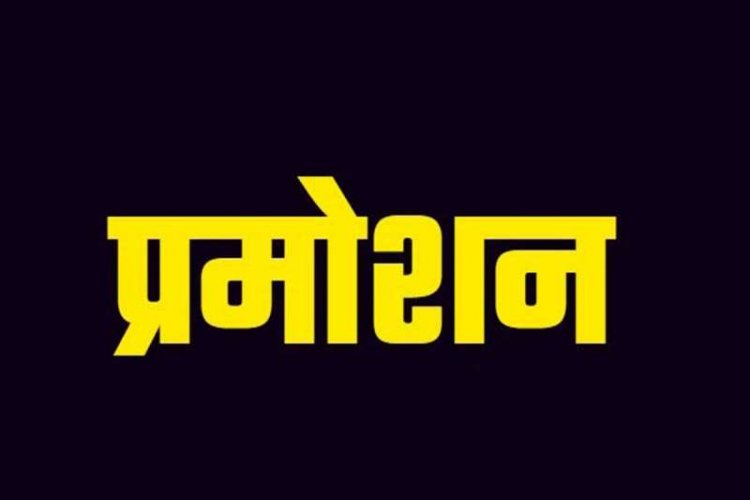 प्रमोशन ब्रेकिंग : 3 दर्जन से ज्यादा इन अधिकारियों और कर्मचारियों को मिली पदोन्नति,देखें लिस्ट …