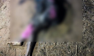 CG : सड़क किनारे मिली युवक की अधजली लाश, इलाके में फैली सनसनी, हत्या की आशंका