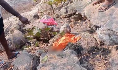 CG : झाड़ियों में मिला नवजात शिशु का शव, इलाके में फैली सनसनी