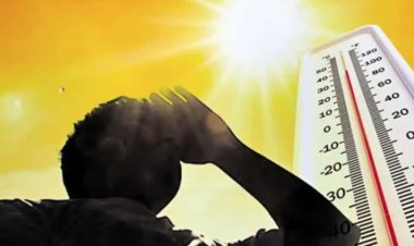 CG  : छत्तीसगढ़ में रात और सुबह ठंड, आगामी दिनों में धूप के साथ पड़ेगी भीषण गर्मी