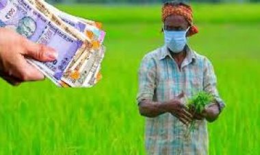 ब्रेकिंग : किसानों को होली से पहले मिला बड़ा तोहफा, इतने करोड़ रूपए का हुआ भुगतान…