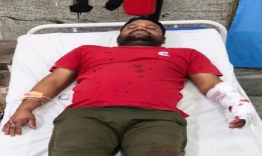 कानन जू की बाघिन आनंदी ने जू-कीपर पर किया हमला, हादसे में अंगूठा कटा