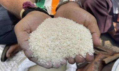 CG : राज्य के 72.29 लाख प्राथमिकता वाले राशनकार्डधारियों को 2028 तक मिलेगा निःशुल्क चावल