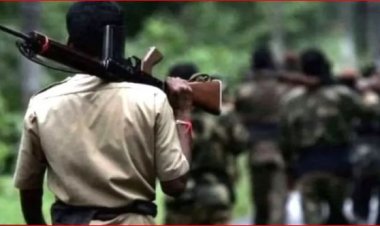 CG : नक्सलियों के मंसूबे नाकाम, जवानों ने बरामद की दो आईईडी