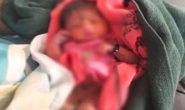 ममता हुई शर्मसार : राजधानी में 2 महीने की मासूम को झाड़ियों में फेंक गई निर्दयी मां, ऐसे पड़ी लोगों की नजर