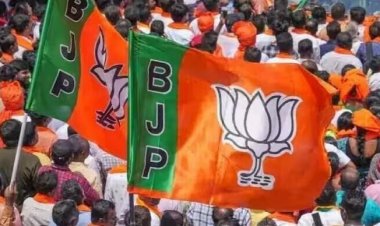 CG Politics : बीजेपी ने 7 मंडलों में की अध्यक्षों की नियुक्ति, जानें किन्हें कहां मिली जिम्मेदारी, देखें लिस्ट…..
