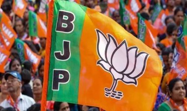 CG- बागी नेताओं पर एक्शन : भाजपा ने इन 5 नेताओं को पार्टी से 6 साल के लिए निष्कासित, देखें लिस्ट….