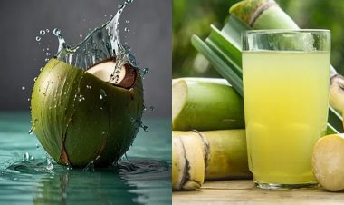 गन्ने का रस या नारियल पानी? जानिए गर्मियों में सेहत के लिए क्या है ज्यादा फायदेमंद