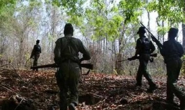 बीजापुर मुठभेड़ : 2 नक्सली ढेर, DRG का एक जवान शहीद, भारी मात्रा में हथियार बरामद