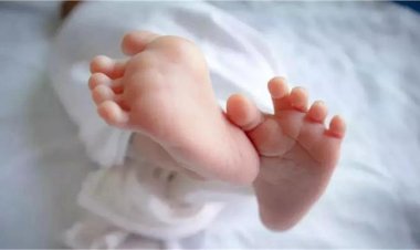 मां की ममता हुई शर्मसार! इस जिले में सुनसान जगह पर इस हालत में मिली नवजात