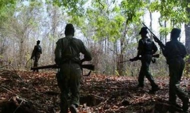 दंतेवाड़ा में पुलिस और नक्सलियों के बीच भीषण मुठभेड़, 5 नक्सली ढेर, सर्च अभियान जारी