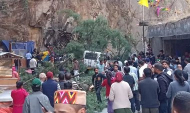 हादसा : तेज हवा की वजह से विशालकाय पेड़ गिरा, 6 लोगों की हुई मौत