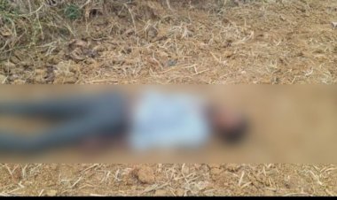CG : खेत में मिला 25 वर्षीय युवक का शव, हत्या की आशंका से सनसनी