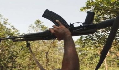 छत्तीसगढ़ में नक्सली ले रहे अंतिम सांस, ये 3 जिले हुए नक्सल मुक्त, इस रेंज में आते हैं तीनों जिले…..