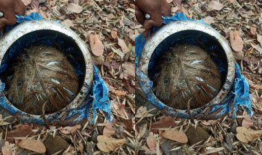 नक्सलियों की साजिश हुई नाकाम, गट्टाकाल के जंगल में जवानों ने बरामद किया 5 किलो का IED, मौके पर किया डिफ्यूज