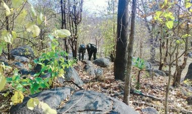 BREAKING : छत्तीसगढ़ में बड़ा नक्सली हमला, नक्सलियों की IED ब्लास्ट में CAF का जवान शहीद, इलाके में सर्च ऑपरेशन जारी…