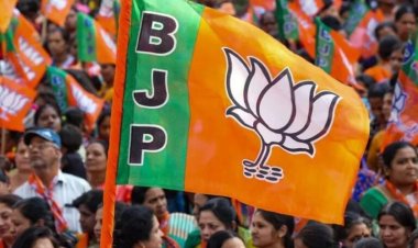 Politics : भाजपा ने इस जिले के लिए किया अध्यक्ष का ऐलान, इस नेता को सौंपी कमान, देखें आदेश….