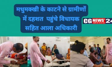 मधुमक्खी के काटने से ग्रामीणों में दहशत  पहुंचे विधायक सहित आला अधिकारी