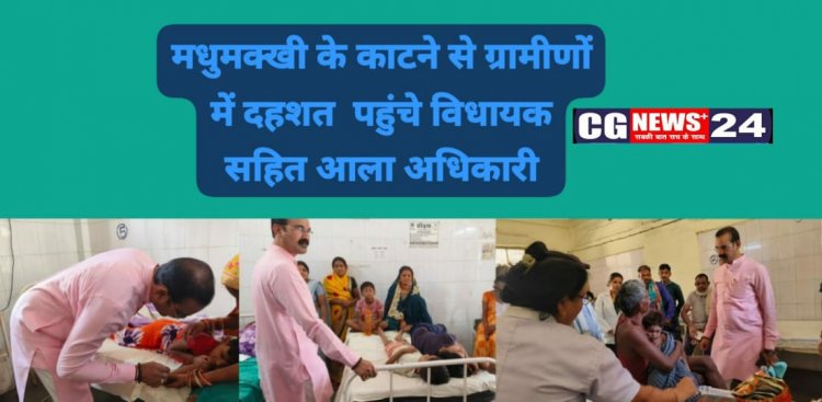 मधुमक्खी के काटने से ग्रामीणों में दहशत  पहुंचे विधायक सहित आला अधिकारी
