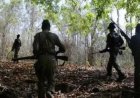 छत्तीसगढ़ में जवानों और नक्सलियों के बीच मुठभड़े में अब तक 20 नक्सलियों के मारे जाने की खबर