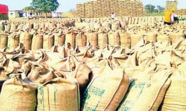 धान उपार्जन केंद्र में 1 करोड़ 65 लाख 80 हजार रुपए की गड़बड़ी, तीन लोगों पर कार्यवाही