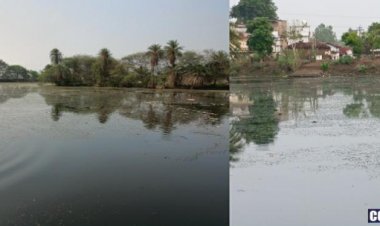 *मोखा के निस्तारित तालाब में जल हुआ दूषित जलीय जंतुओ के मरने से फैला दुर्गन्ध*