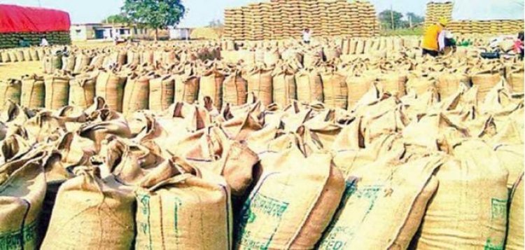 धान उपार्जन केंद्र में 1 करोड़ 65 लाख 80 हजार रुपए की गड़बड़ी, तीन लोगों पर कार्यवाही