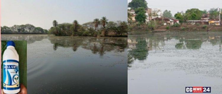 *मोखा के निस्तारित तालाब में जल हुआ दूषित जलीय जंतुओ के मरने से फैला दुर्गन्ध*