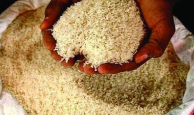 लोकल चावल में चर्चित ब्रांड का लेबल लगाकर बेचा जा रहा था ऊंची कीमत पर, दो राइस मिलरों की भूमिका जांच के घेरे में