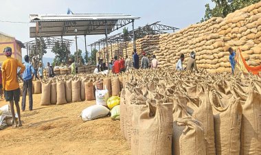 *छत्तीसगढ़ सहकारी समिति कर्मचारी महासंघ के बैनर तले कंप्यूटर ऑपरेटर की अनिश्चित हड़ताल*