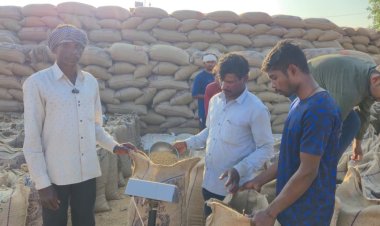 *धान खरीदी 2025-26 अपने अंतिम पड़ाव पर,शेष 3 दिनों में 1.5 लाख किसान कर सकते हैं धान विक्रय*