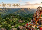 *मोहला नगर में स्थापित विभिन्न गणेश प्रतिभाओं में हर किसी में है खास बात*