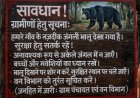 *मोहला नगर के समीप दिखाई दे रहा वन्य प्राणी भालू वन विभाग ने की सतर्कता जारी*
