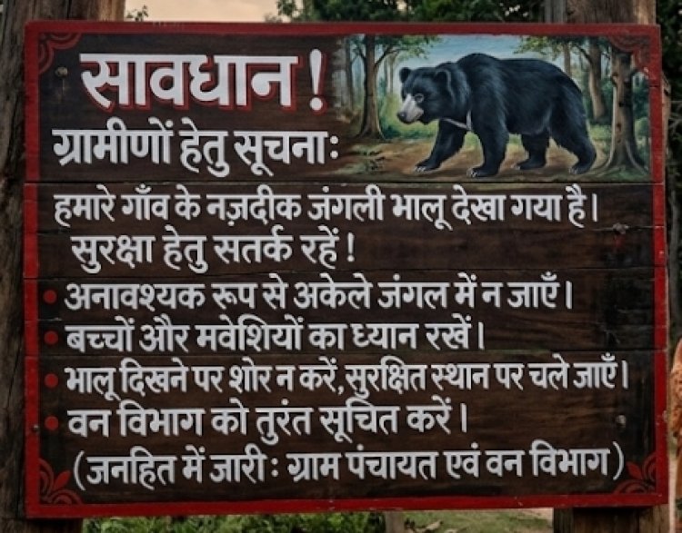 *मोहला नगर के समीप दिखाई दे रहा वन्य प्राणी भालू वन विभाग ने की सतर्कता जारी*